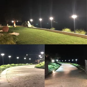 Project Picture of Solar Garden Lights