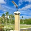 Solar street lights for pathway